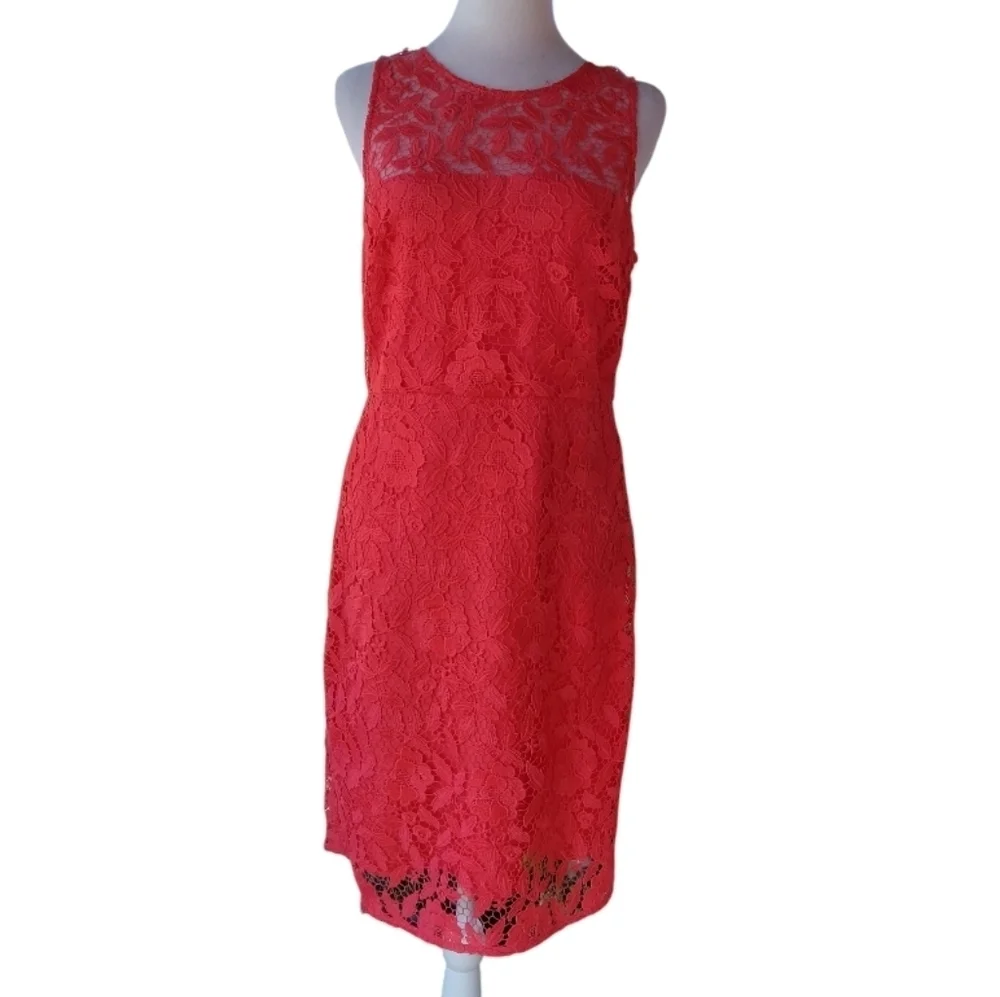 J. Crew Collection Poppy Coral Color Lace Sheath Dress Knee Length Size 8